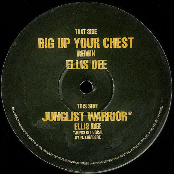 Big Up Your Chest (Remix) / Junglist Warrior